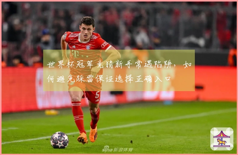 世界杯冠军竞猜新手常遇陷阱,如何避免踩雷保证选择正确入口