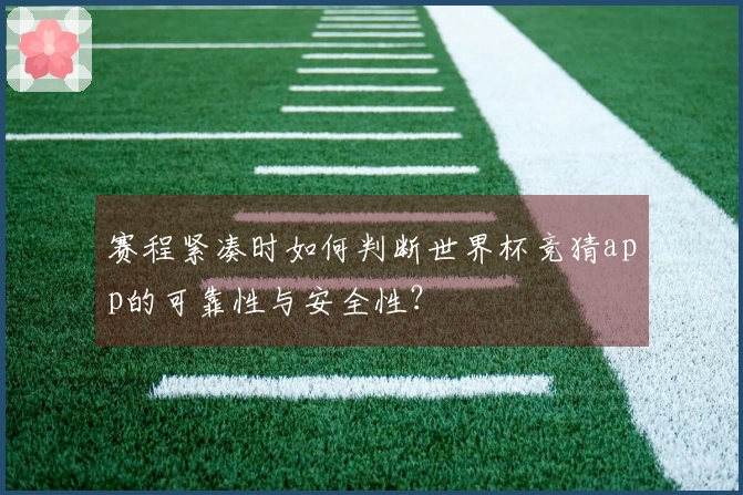 赛程紧凑时如何判断世界杯竞猜app的可靠性与安全性？